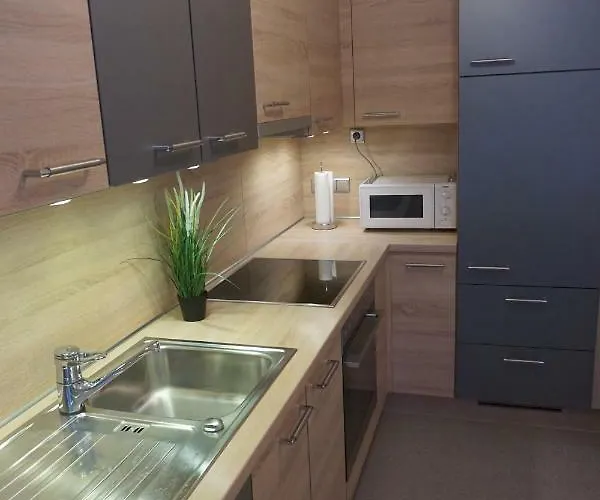 Apartmán Regina Burgberg (Bavaria)